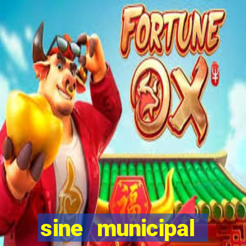 sine municipal porto velho